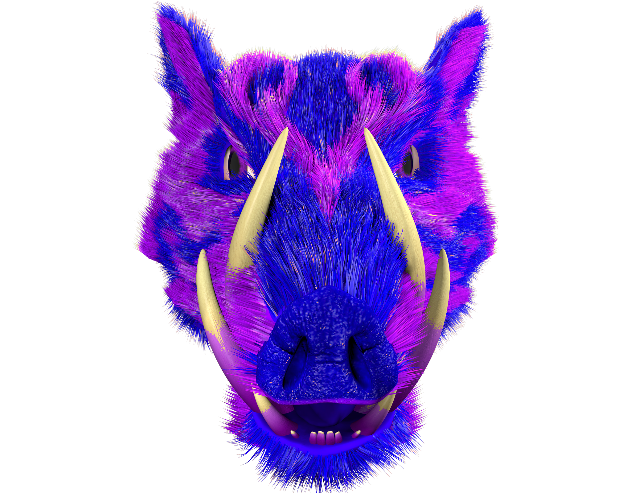 frontMidLow-PowerBoar